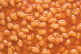 Baked Beans Fat Content 66