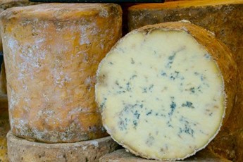 Guide to British blue cheese