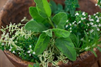 What to do with leftover herbs