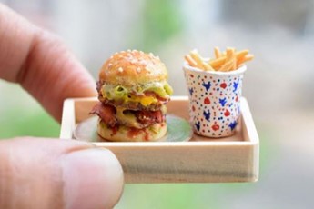 tiny burger fries