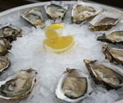 Falmouth oysters