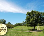 The UK's favourite foods: Central England