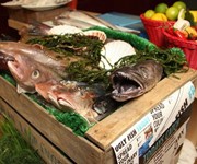 Fish restaurants go ethical
