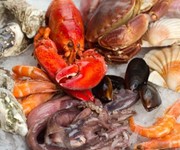 Food from Britain: our top seafood producers