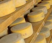 Guide to British hard cheese