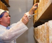 Tasting the cheeses