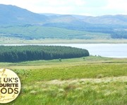 The UK’s favourite foods: Scotland