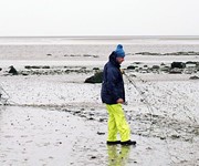 The Seafood Riches of Morecambe Bay
