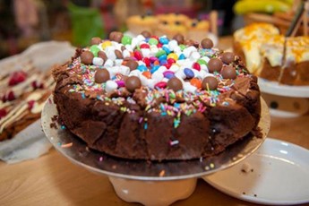 Bruce Bogtrotter cake