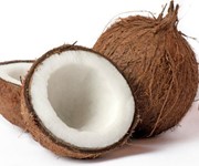 coconut