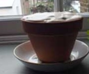 Fiona Maclean's version of Heston Blumenthal's flowerpot tiramisu 