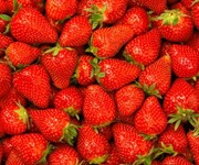 Strawberries